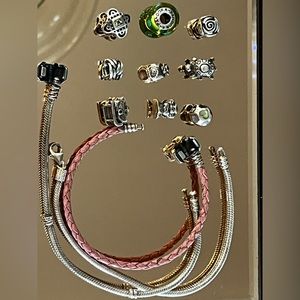 Pandora Charm Bracelets and Pandora Charms